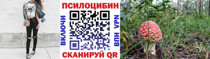 площадка наркотические препараты  Черняховск  Галлюциногенные грибы GOLDEN TEACHER 